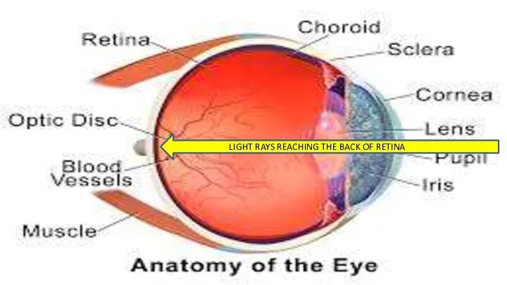 How light enters the eye.