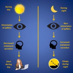 Effects Of Blue Light On Health (Sleep, Eyes, Depression, And Dementia ...