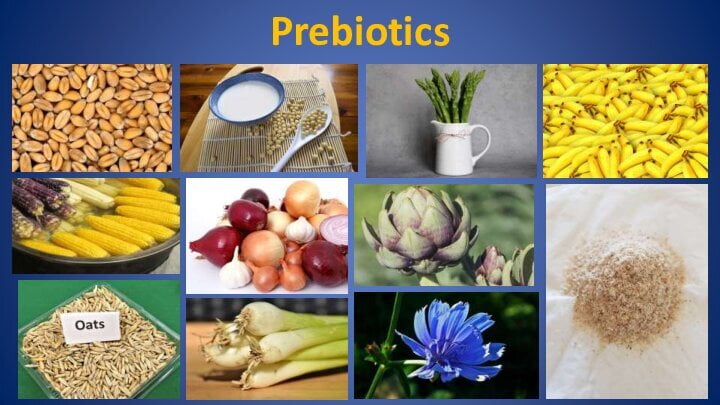 Some foods like whole grain wheat, whole grain corn, oats, soybean, garlic, onion, leeks, asparagus, artichoke, chicory, banana, and psyllium (ispaghula) have prebiotic effects.