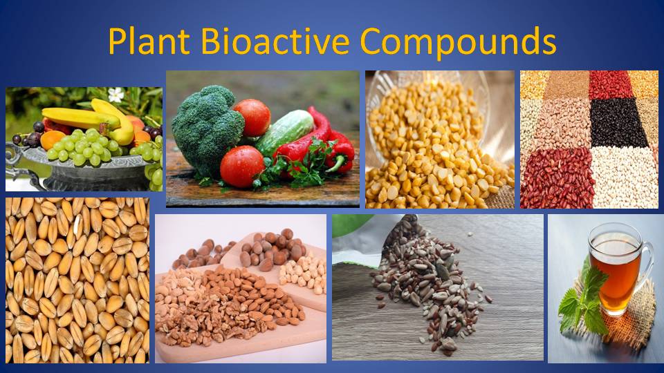 Plant bioactive compounds are found in plant based foods (superfoods) like fruits, vegetables, legumes (lentils, beans, and peas), whole grains, nuts, seeds, herbs, and tea.