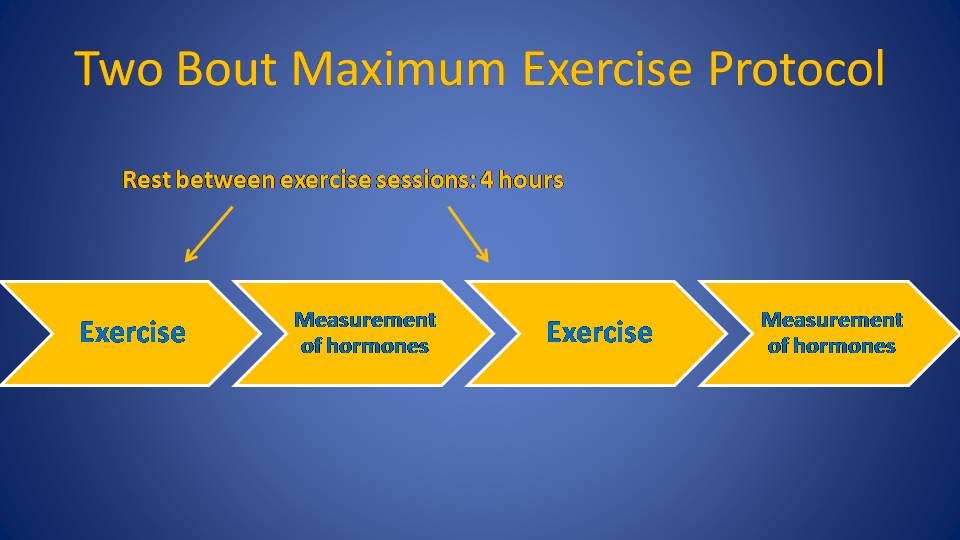 Two bout maximum exercise protocol.